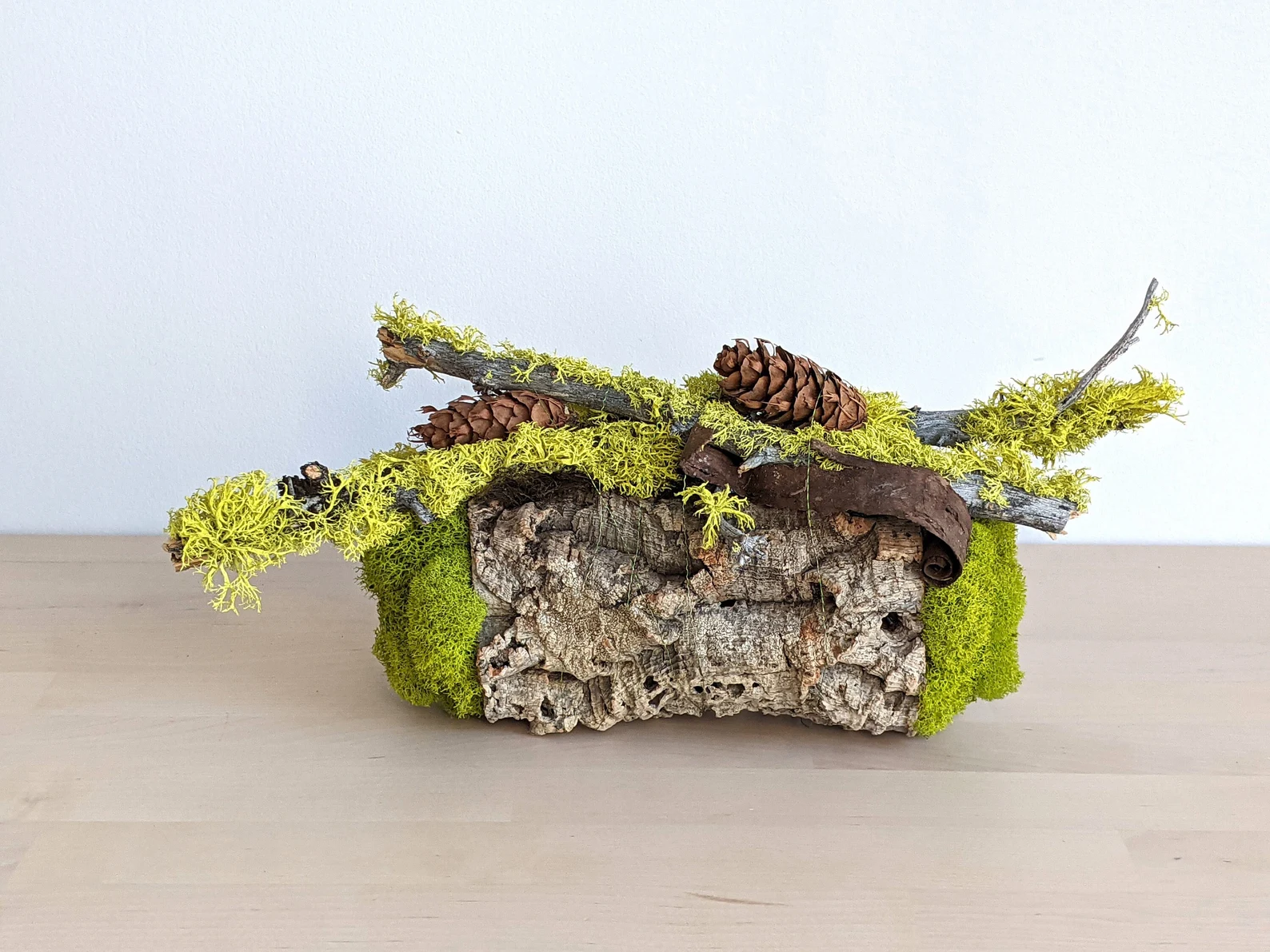 Preserved Moss Art