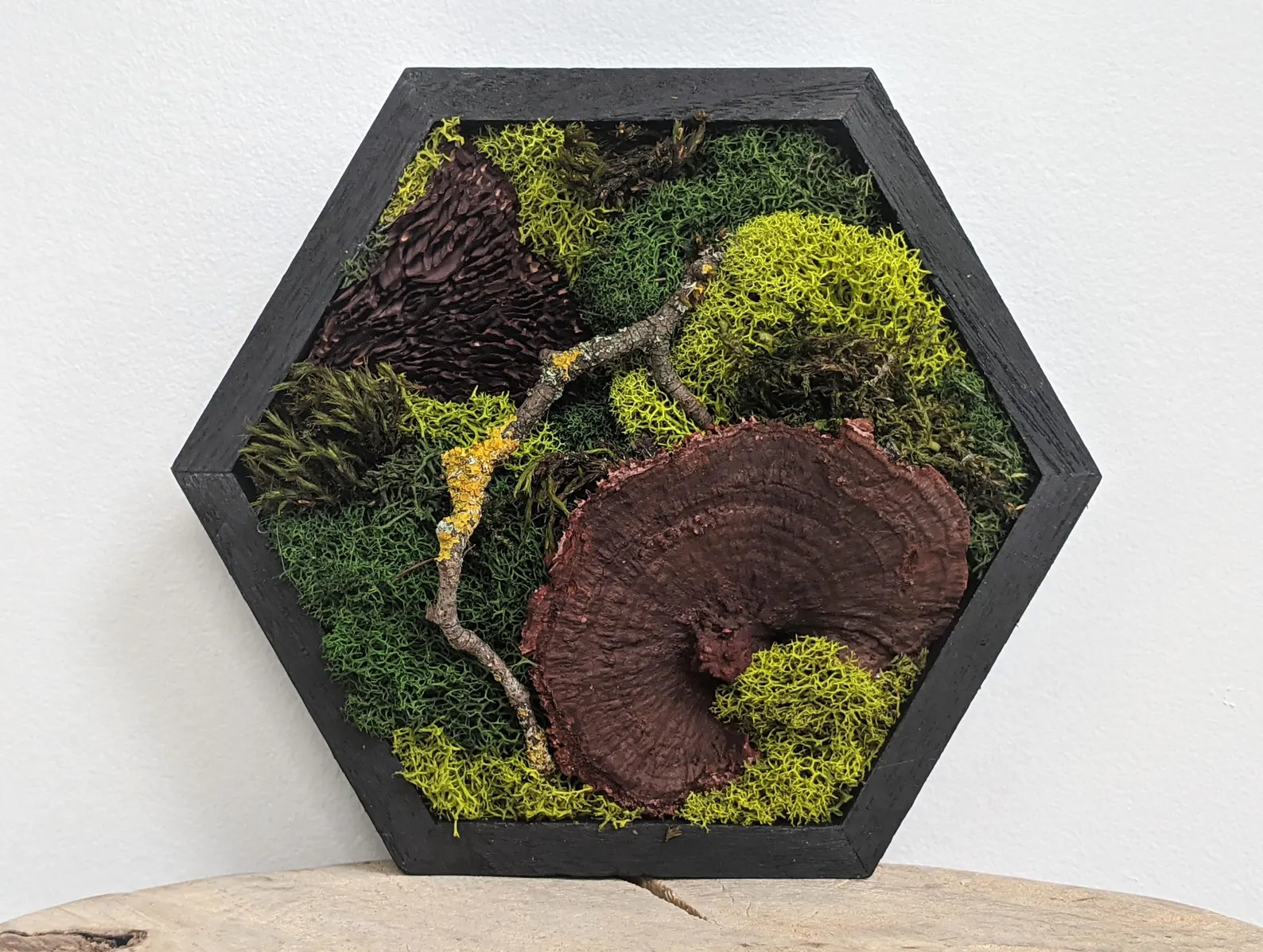 Moss Wall Piece