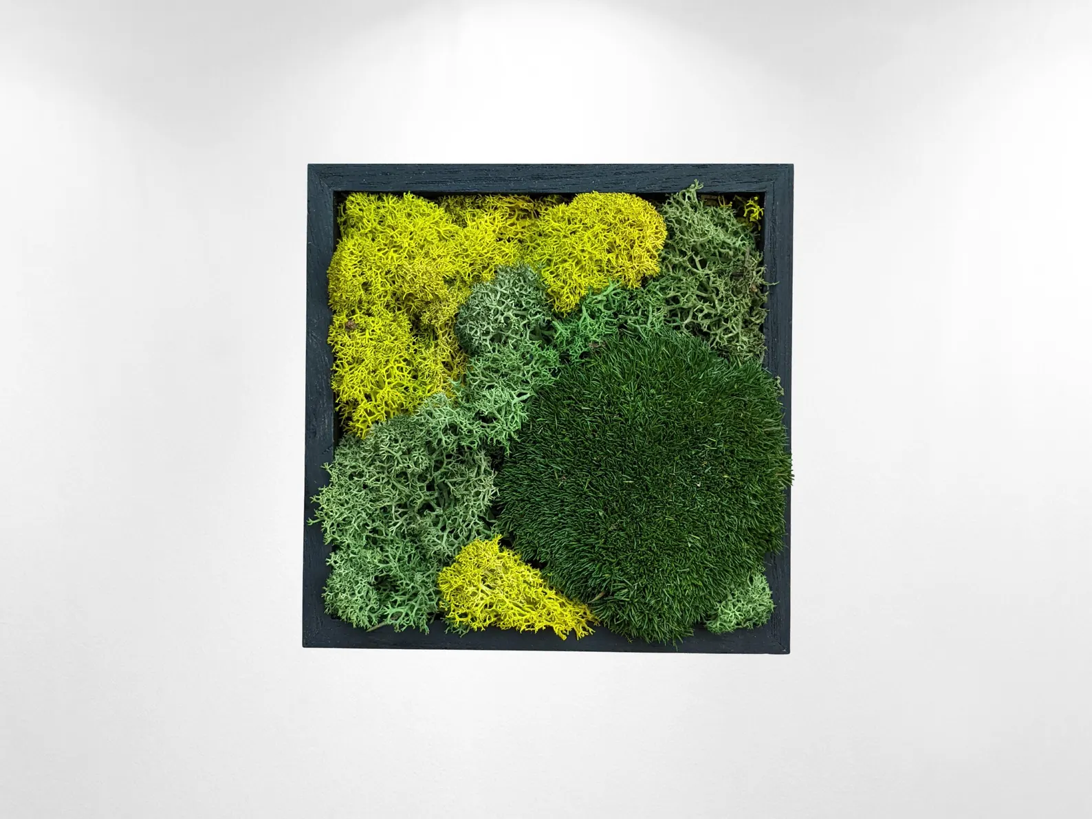 Woodland Moss Design
