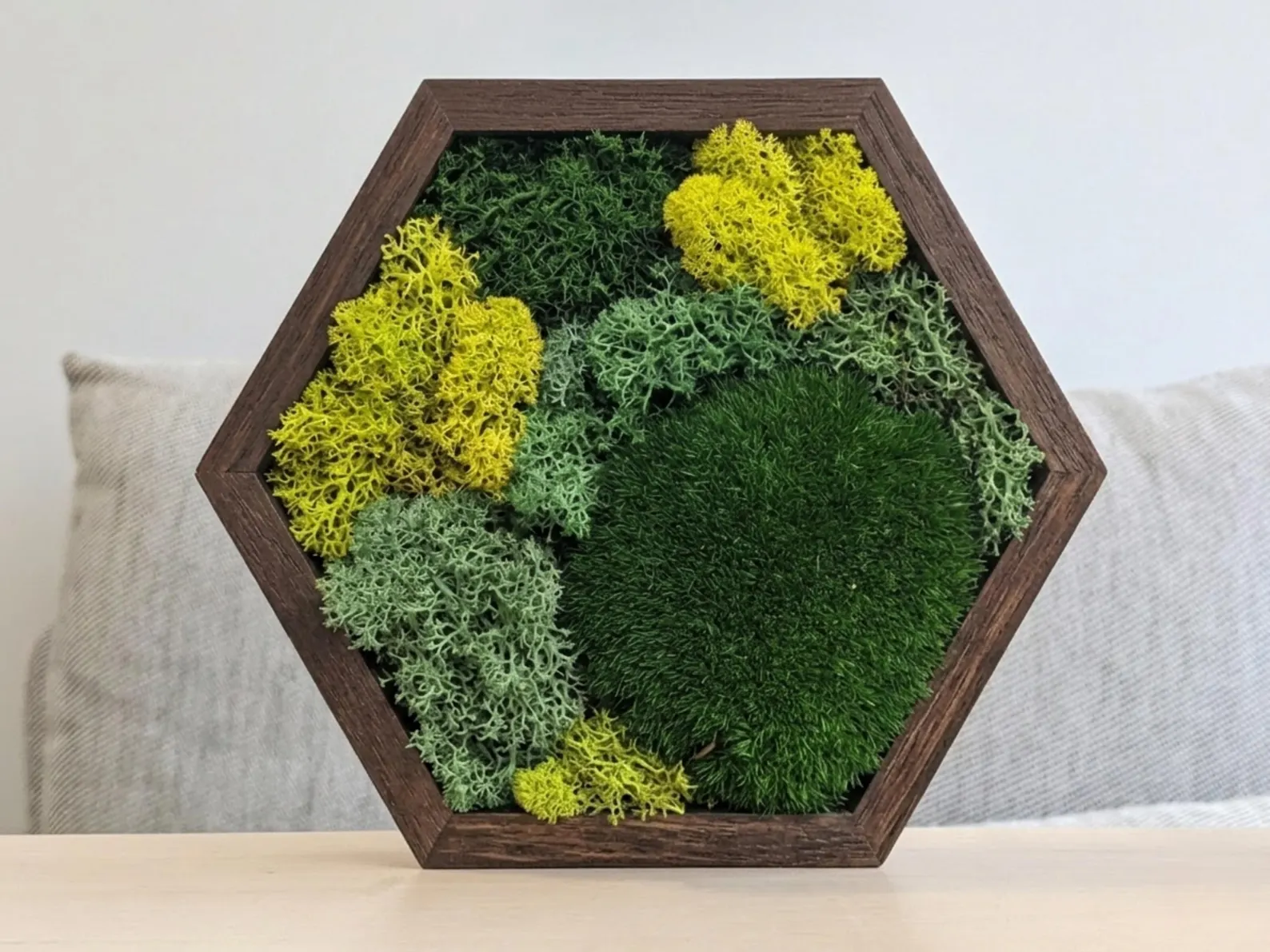 Moss & Natural Forms